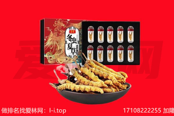 额尔古纳市回收虫草.jpg